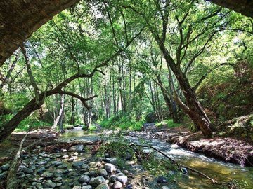 ΚΑΣΤΟΡΕΙΟ ΛΑΚΩΝΙΑΣ