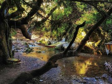 ΜΟΝΗ ΔΑΜΑΣΤΑΣ - ΠΑΥΛΙΑΝΗ