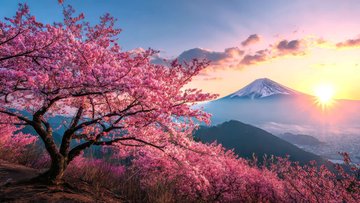 Πλήρης Ιαπωνία, στις παρυφές των Ιαπωνικών Άλπεων… Ανθισμένες κερασιές