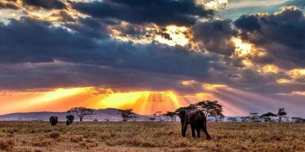 Αφρική - Ινδικός Ωκεανός